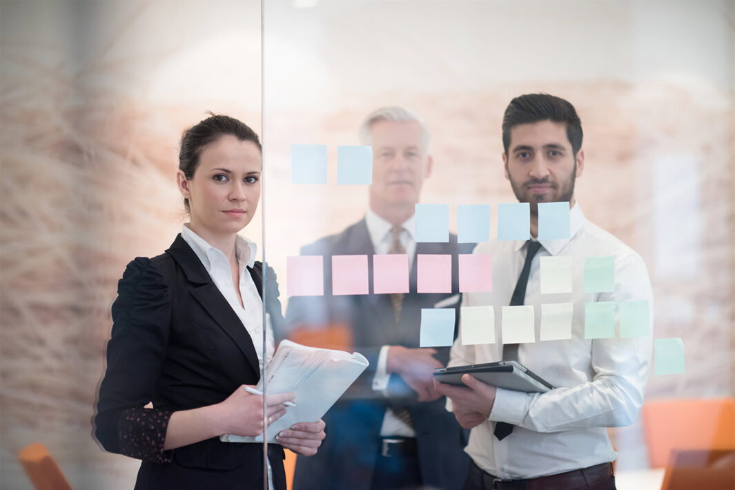 What Happens When the Experts Disappear? The Growing Need for Private-Sector Process Management Consultants
