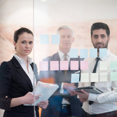 What Happens When the Experts Disappear? The Growing Need for Private-Sector Process Management Consultants