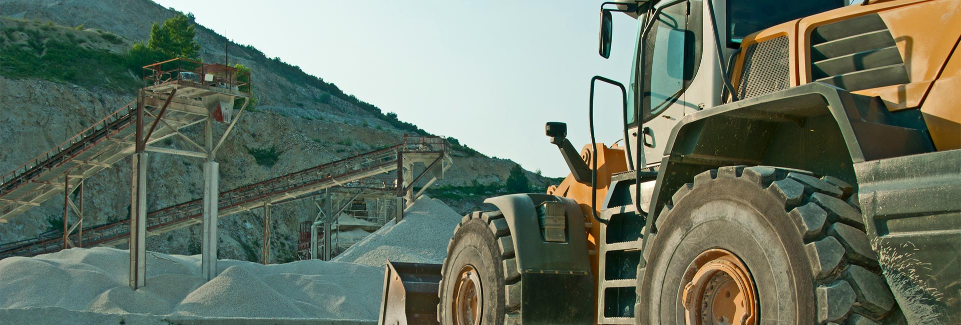 Case Mining Tree CASE STUDY: Optimizing Procurement at an Established Mining House